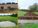 Natural flood defences cut peak river flows by up to 62% in Devon study