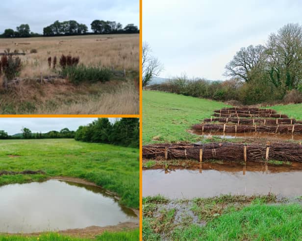Natural flood defences cut peak river flows by up to 62% in Devon study