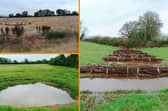 Natural flood defences cut peak river flows by up to 62% in Devon study