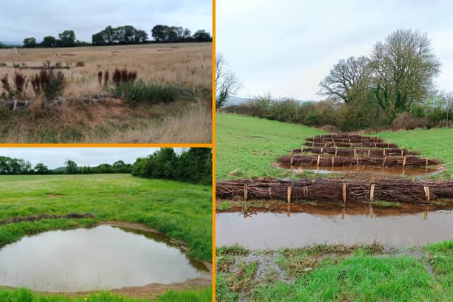 Natural flood defences cut peak river flows by up to 62% in Devon study