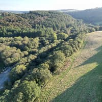New community woodland planned for Tavistock after council buys seven hectares of land