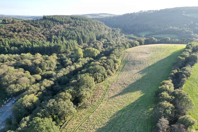 One of the fields being turned into community woodland at Crowndale, Tavistock