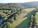 One of the fields being turned into community woodland at Crowndale, Tavistock