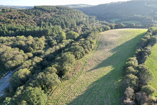 One of the fields being turned into community woodland at Crowndale, Tavistock