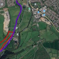 Tavistock community woodland could be council’s ‘lasting legacy’