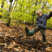 Meet the Gruffalo at Haldon Forest Park’s free half-term story event