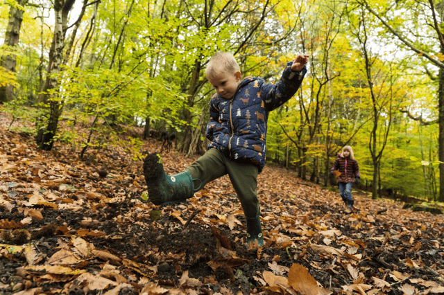 Haldon Forest Park near Exeter is inviting families to a free Gruffalo Granny event on October 27