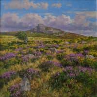 Dartmoor landscapes inspire new exhibition raising funds for local charity