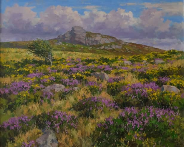Hay Tor - Andrew Miller