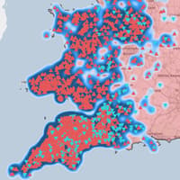 Could a natural fungus help protect Devon farms from bluetongue?