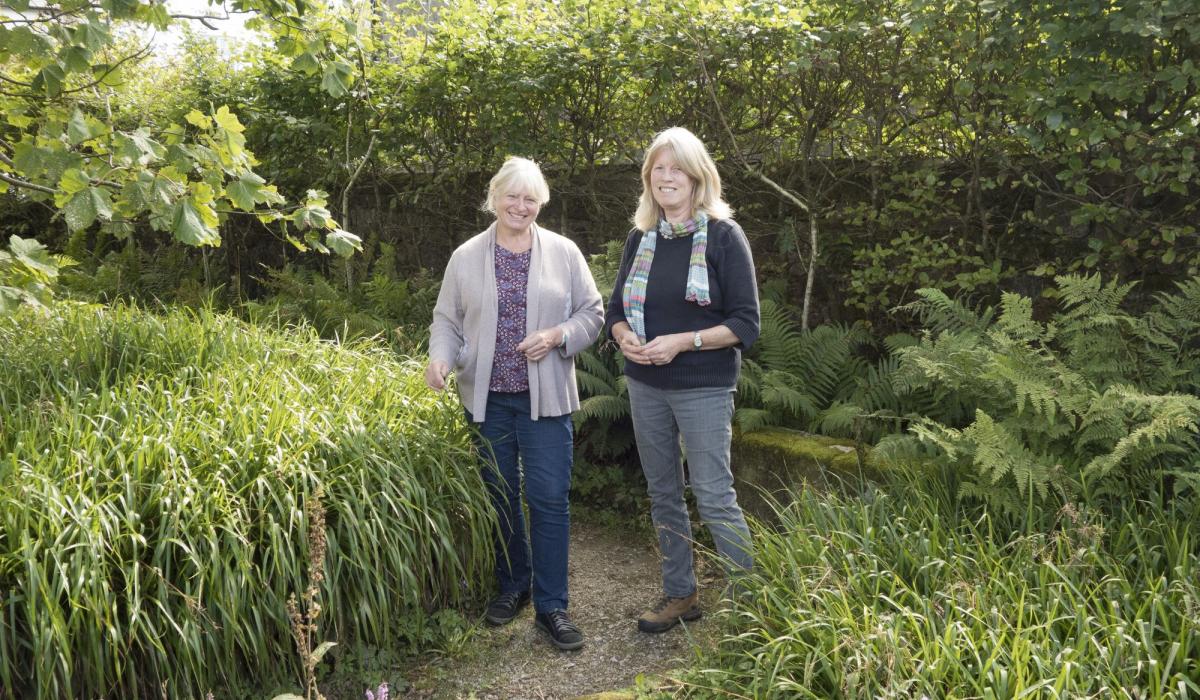 Gardening on the Moor with Anne Swithinbank A wild Dartmoor garden
