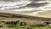 Abbots Way Walk Credit- Dartmoor Search and Rescue Team, Ashburton