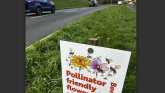 Greener roadside verges for Bovey Tracey