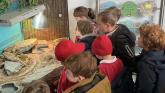 School trip to Dartmoor Zoo gave Lamerton children hands-on learning with animals and habitats