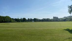 Weekend results in the Tolchards Devon Cricket League