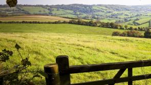 England’s ‘pivot year’ in BPS decline