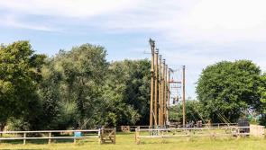 Food and activities for Devon's children this Summer - John Hart