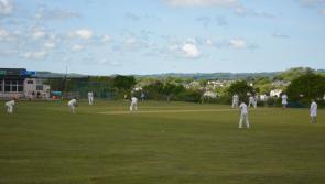 Tavistock climb out of the bottom two