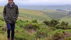 Bold nature recovery plan for Wistman’s Wood