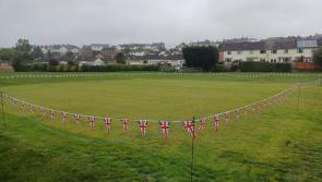 Devon cricket results