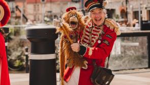 FREE FAMILY FUN ON EXETER QUAYSIDE OVER THE SUMMER HOLIDAYS