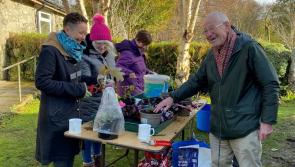 Gardening therapy on Dartmoor
