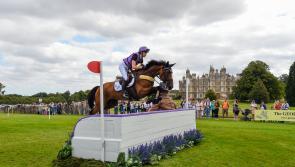 Debut display to be proud of for Devon rider