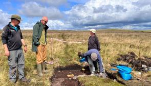 Archaeological excavation reveals paved surface at Dartmoor stone row