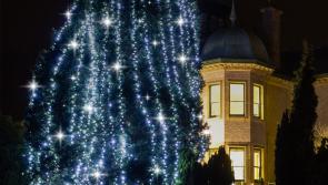 Light up a Life this Christmas