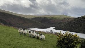 All quiet on the South West hunt