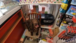 Large illegal tobacco haul in Plymouth
