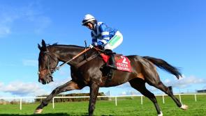 Fabulous Frodon set for retirement