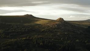 ‘Risk of wildfire is high’: warning issued for Dartmoor as dry weather continues
