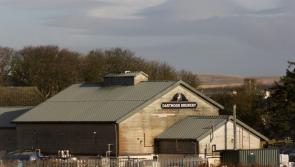 Dartmoor Brewery scoop top honours at Taste of the West Awards