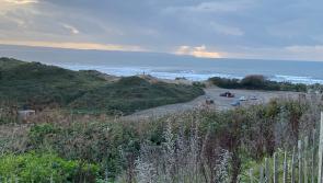 White Cross cable plan is ‘delayed for five months’