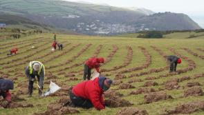 National Trust volunteers plant 1400 trees in successful 'Moor to Moor' exchange
