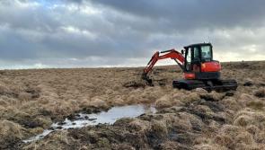 South West Peatland Partnership launches peatland restoration project at Burrator Reservoir