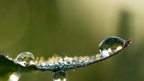 South West Water unveils Water is Precious campaign for water conservation
