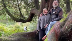 American couple selling Broomhill Estate art hotel hope new owners ‘take it to the next level’