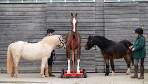 Devon Equine charity raises nearly £200k for lifesaving training equipment