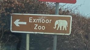Tourist raises concerns over lack of attraction signs in North Devon
