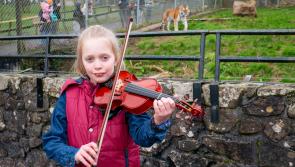 Ten year old violin prodigy raises funds for Dartmoor Zoo