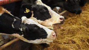 All non-essential farm inspections paused due to adverse weather conditions