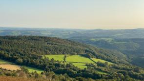 Government outlines plans to support Dartmoor farmers and environment
