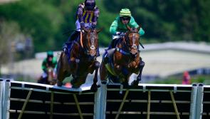 Fourth time lucky for weather weary Newton Abbot Races