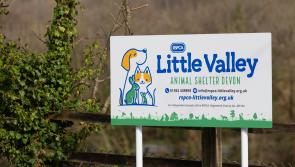 RSPCA's 200-year bash: Celebrate at Little Valley!
