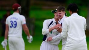 The Secret Cricketer: Dealing with small pests