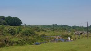  Exploring moorland swim spots
