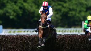 Harry Redknapp celebrates a sunny day at Newton Races