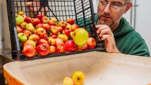 Tiverton man hosts cider feast in Chagford